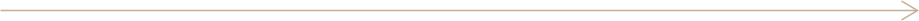 Florio-Arc-arrow-button gold arrow