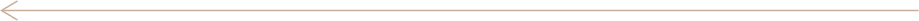 Florio-Arc-arrow-button-left gold arrow pointing left