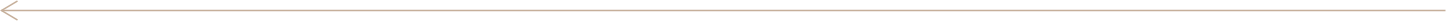 Gold-fullwidth-arrow Gold arrow